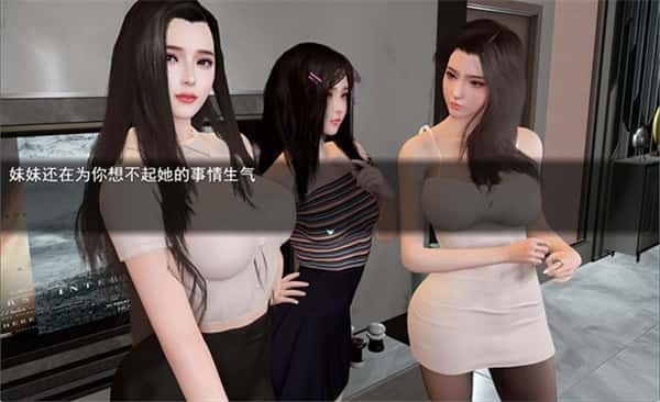 我的幸福人生 双端资源 实机截图 3
