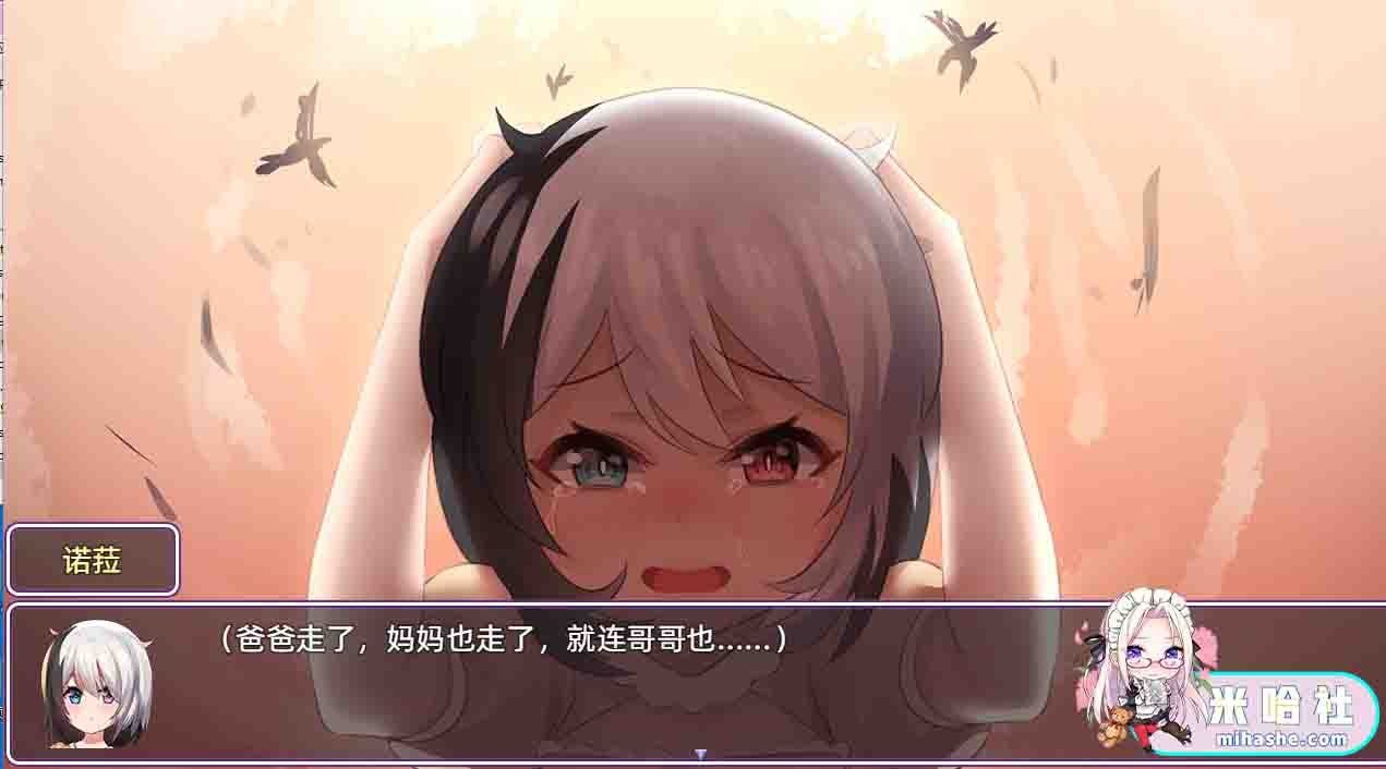 光与影的二重身 攻略要点 玩法截图 1